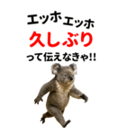 エッホエッホ どうぶつ園【BIGスタンプ】（個別スタンプ：17）