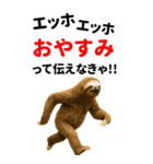エッホエッホ どうぶつ園【BIGスタンプ】（個別スタンプ：24）