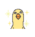 ドット絵のひよこ人間ぴよアニメ文字なし（個別スタンプ：15）