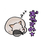 メグタのスタンプ（個別スタンプ：4）