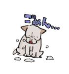 メグタのスタンプ（個別スタンプ：7）