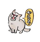 メグタのスタンプ（個別スタンプ：9）