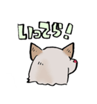 メグタのスタンプ（個別スタンプ：11）