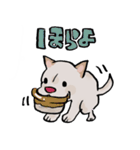 メグタのスタンプ（個別スタンプ：13）