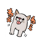 メグタのスタンプ（個別スタンプ：18）