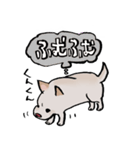 メグタのスタンプ（個別スタンプ：22）