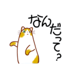和風猫＜いつでも使えるあいづち＞（個別スタンプ：6）