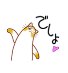 和風猫＜いつでも使えるあいづち＞（個別スタンプ：14）