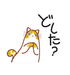 和風猫＜いつでも使えるあいづち＞（個別スタンプ：19）