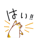 和風猫＜いつでも使えるあいづち＞（個別スタンプ：28）