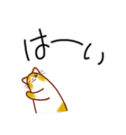 和風猫＜いつでも使えるあいづち＞（個別スタンプ：36）