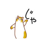 和風猫＜いつでも使えるあいづち＞（個別スタンプ：37）