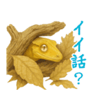 ゆるいクレスの日常（個別スタンプ：12）
