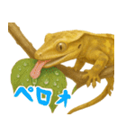 ゆるいクレスの日常（個別スタンプ：17）