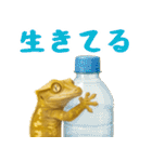 ゆるいクレスの日常（個別スタンプ：29）