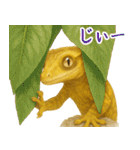 ゆるいクレスの日常（個別スタンプ：34）