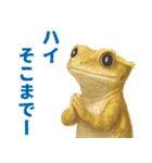 ゆるいクレスの日常（個別スタンプ：35）