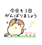 敬語_ず～っと使える脱力すずめさんの日常（個別スタンプ：2）
