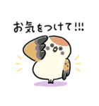 敬語_ず～っと使える脱力すずめさんの日常（個別スタンプ：4）