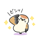 敬語_ず～っと使える脱力すずめさんの日常（個別スタンプ：20）