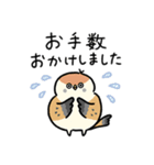 敬語_ず～っと使える脱力すずめさんの日常（個別スタンプ：21）