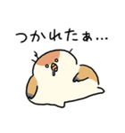 敬語_ず～っと使える脱力すずめさんの日常（個別スタンプ：29）