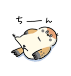 敬語_ず～っと使える脱力すずめさんの日常（個別スタンプ：32）