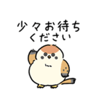 敬語_ず～っと使える脱力すずめさんの日常（個別スタンプ：33）