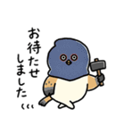 敬語_ず～っと使える脱力すずめさんの日常（個別スタンプ：36）