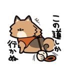 ぽんずぽんぽんポメラニアン（個別スタンプ：1）