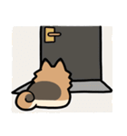 ぽんずぽんぽんポメラニアン（個別スタンプ：3）