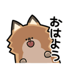 ぽんずぽんぽんポメラニアン（個別スタンプ：12）