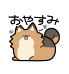 ぽんずぽんぽんポメラニアン（個別スタンプ：14）