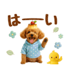 ラフな敬語の癒しトイプードル（個別スタンプ：3）