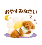 ラフな敬語の癒しトイプードル（個別スタンプ：16）