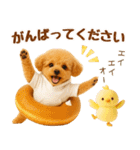 ラフな敬語の癒しトイプードル（個別スタンプ：23）