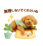 ラフな敬語の癒しトイプードル（個別スタンプ：24）