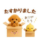 ラフな敬語の癒しトイプードル（個別スタンプ：32）