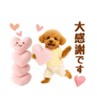 ラフな敬語の癒しトイプードル（個別スタンプ：35）