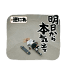 Z世代スケボーギャル（個別スタンプ：27）
