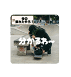 Z世代スケボーギャル（個別スタンプ：29）