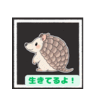ちょいポチャ丸まれないアルマジロ2（個別スタンプ：29）