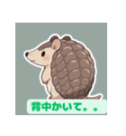ちょいポチャ丸まれないアルマジロ2（個別スタンプ：30）