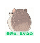 ちょいポチャ丸まれないアルマジロ2（個別スタンプ：31）