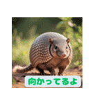 ちょいポチャ丸まれないアルマジロ2（個別スタンプ：34）