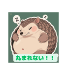 ちょいポチャ丸まれないアルマジロシリーズ（個別スタンプ：1）