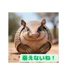 ちょいポチャ丸まれないアルマジロシリーズ（個別スタンプ：14）