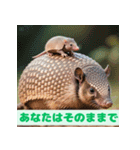 ちょいポチャ丸まれないアルマジロシリーズ（個別スタンプ：20）