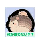 ちょいポチャ丸まれないアルマジロシリーズ（個別スタンプ：21）