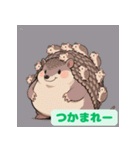 ちょいポチャ丸まれないアルマジロシリーズ（個別スタンプ：25）